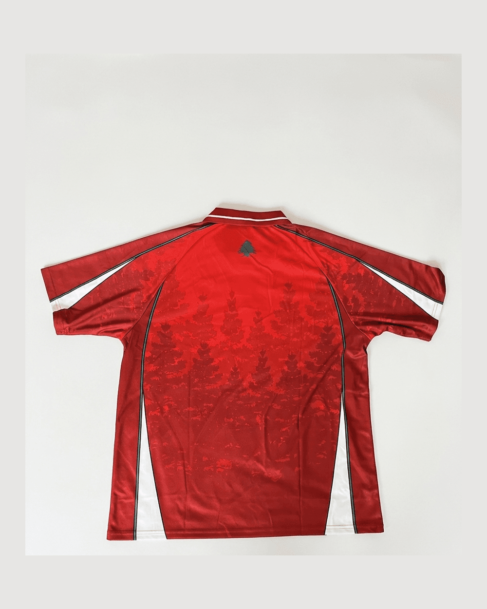 Lebanon Jersey - back