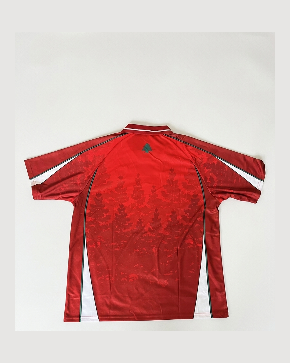 Lebanon Jersey - back